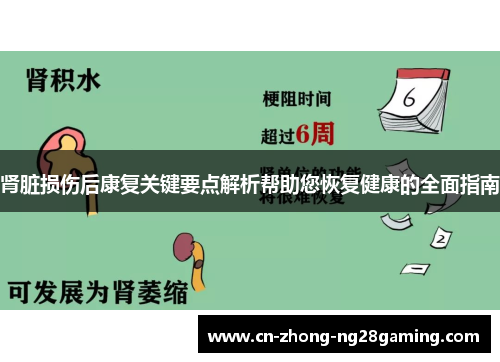 肾脏损伤后康复关键要点解析帮助您恢复健康的全面指南