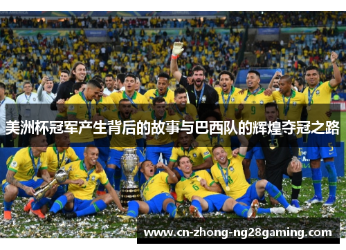 美洲杯冠军产生背后的故事与巴西队的辉煌夺冠之路