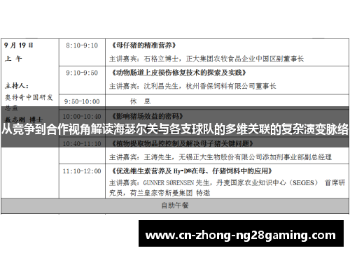 从竞争到合作视角解读海瑟尔关与各支球队的多维关联的复杂演变脉络
