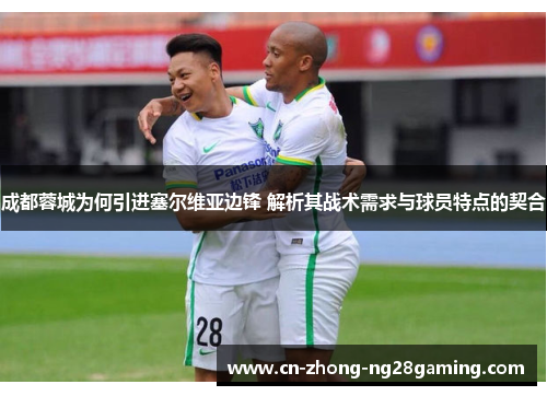 成都蓉城为何引进塞尔维亚边锋 解析其战术需求与球员特点的契合