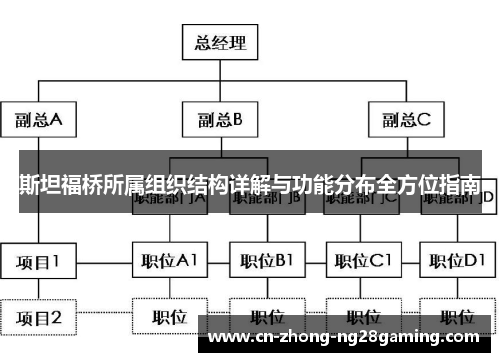 斯坦福桥所属组织结构详解与功能分布全方位指南 斯坦福桥所属组织结构详解与功能分布全方位指南